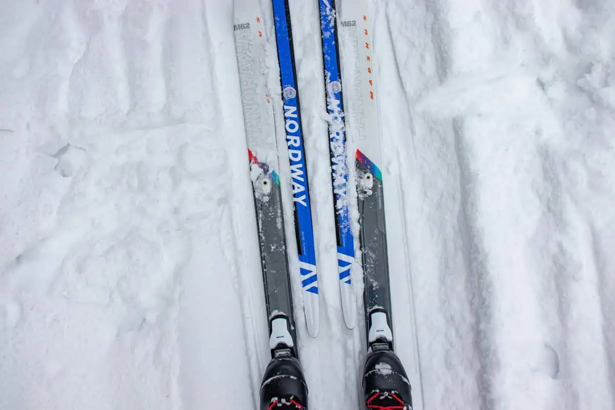 Narty madonna di campiglio: przewodnik po Dolinie Słońca
